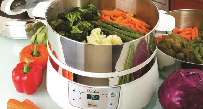 Euro Cuisine food steamer