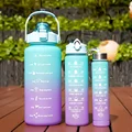 Green purple-3pcs