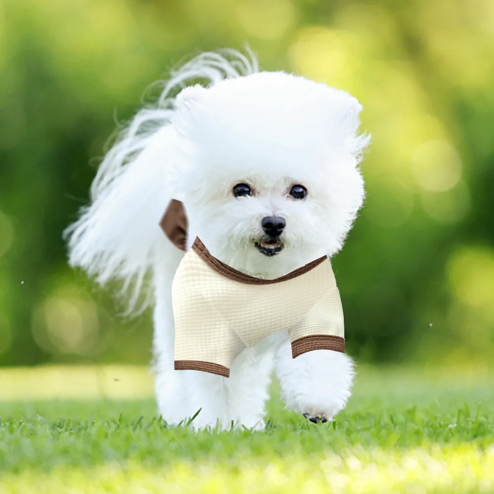 Floral Princess Dress for Small Dogs