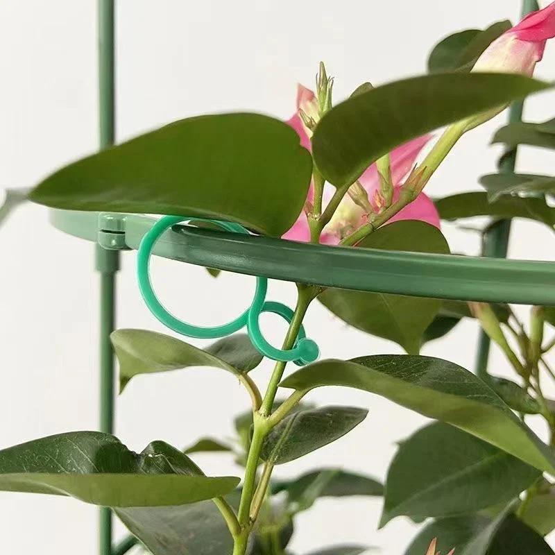 Garden Plant Clips - Green Plastic Vine Support and Holder Tool (50/100 Pack)