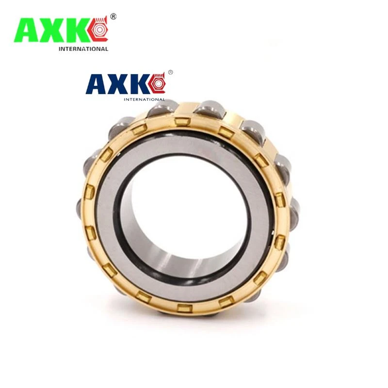 Japan Brand reducer parts eccentric bearing cylindrical bearing RN205
