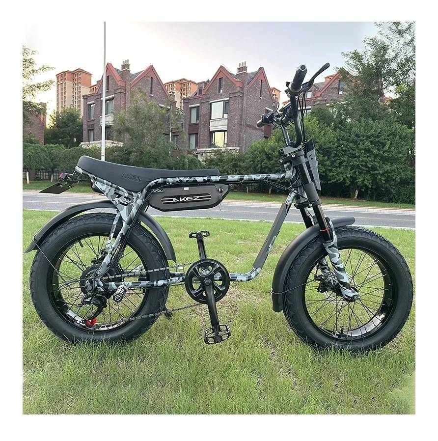 Tricycle électrique Adulte D343 – 750W, 52V, 40AH, Pneus 26'' Noir