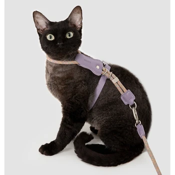 Cat Harness and Leash 1