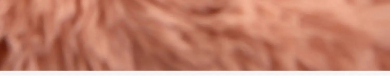 Sa6cf847a361240f3a059947e39445febR.jpeg