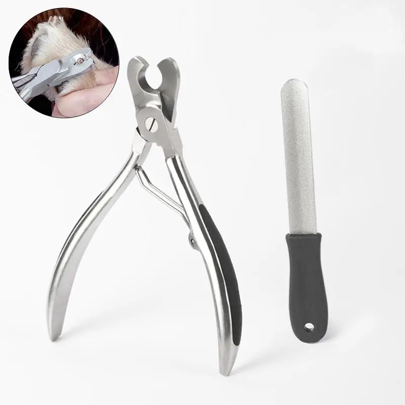 Pet Cat Dog Nail Clipper Cutter Sickle Stainless Steel Grooming Scissors Clippers Claws pet nail clipper pet nail scissors