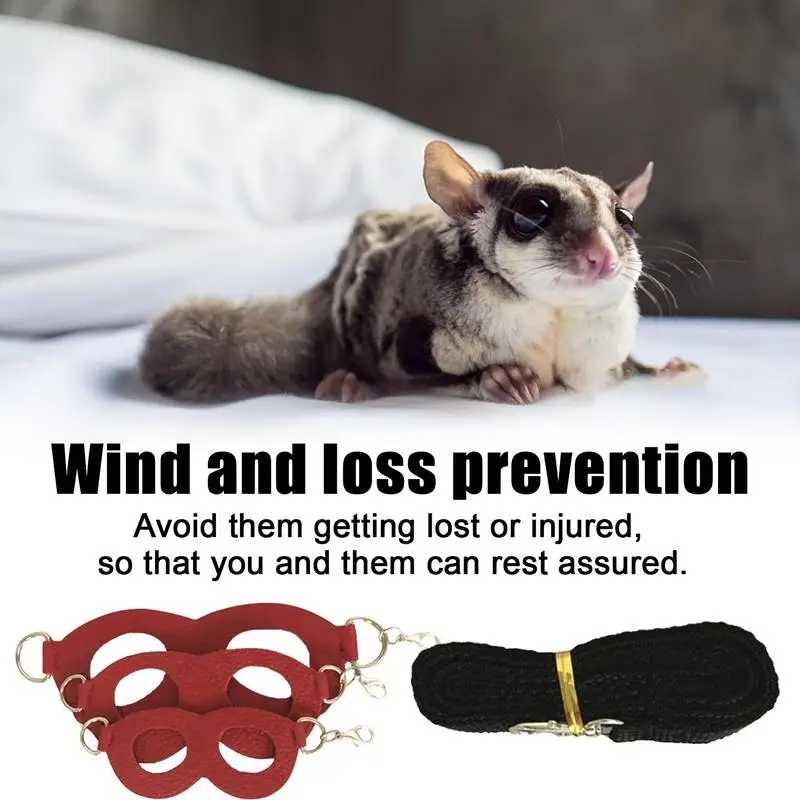 Sugar Gliders Vest and Leash 3