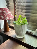 Lazy Hydroponic Flower Pot Automatic Water-Absorbing Flowerpot Transparent Double Layer Plastic Self Watering Planter Office 4