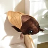48CM Simulation Cicada Plush Toy Lifelike Summer Insects in Trees Cicada Doll Soft Animal Pillow For Kids Boys Xmas Gifts 3