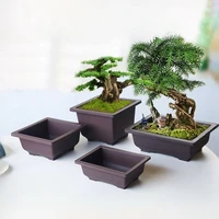 Bonsai Pot Imitation Purple Clay Flowerpot Plastic Plantpot Landscape Succulent Pot Garden Planter Gardening macetas para planta 6