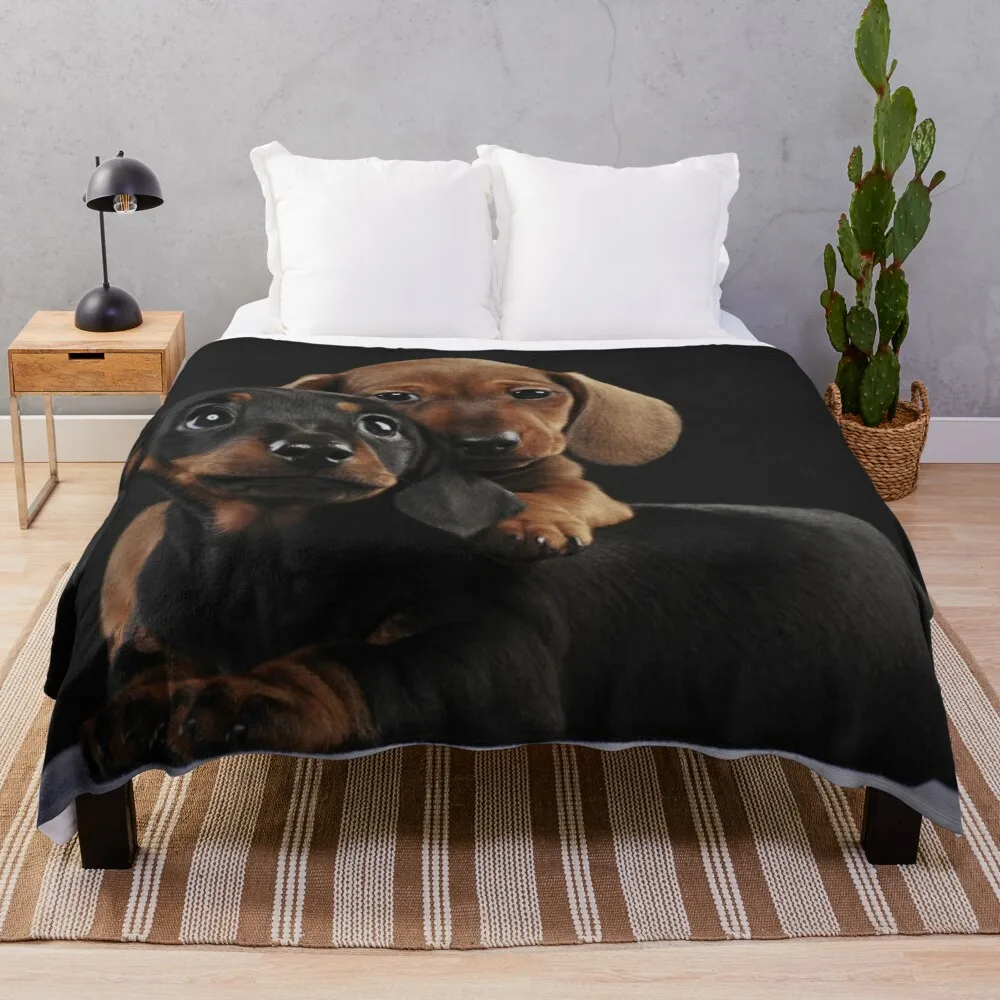 Dachshund Dog portrait photo pupies Throw Blanket Thin Blankets Hairy