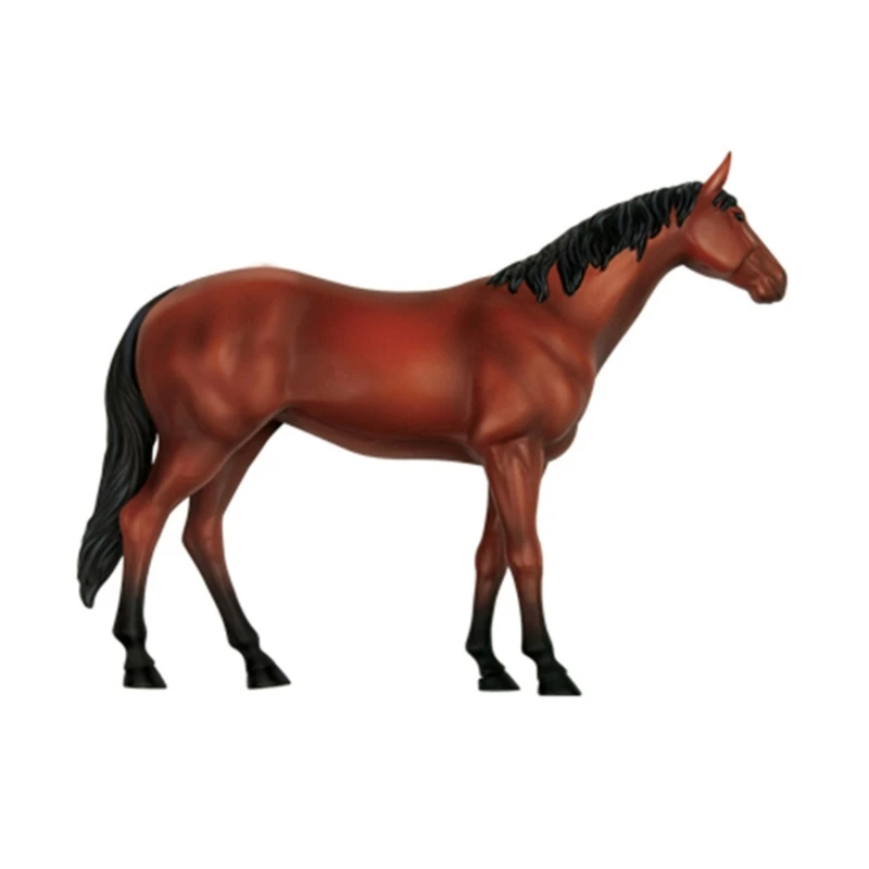 Realistic Horse Anatomy Model 5