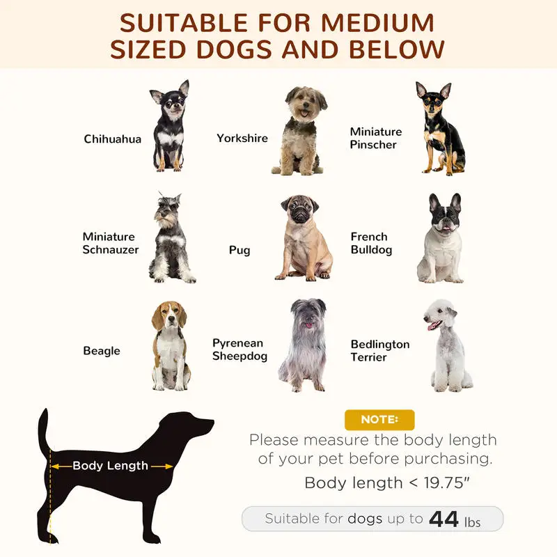 Elevated Canopy Dog Cot 5