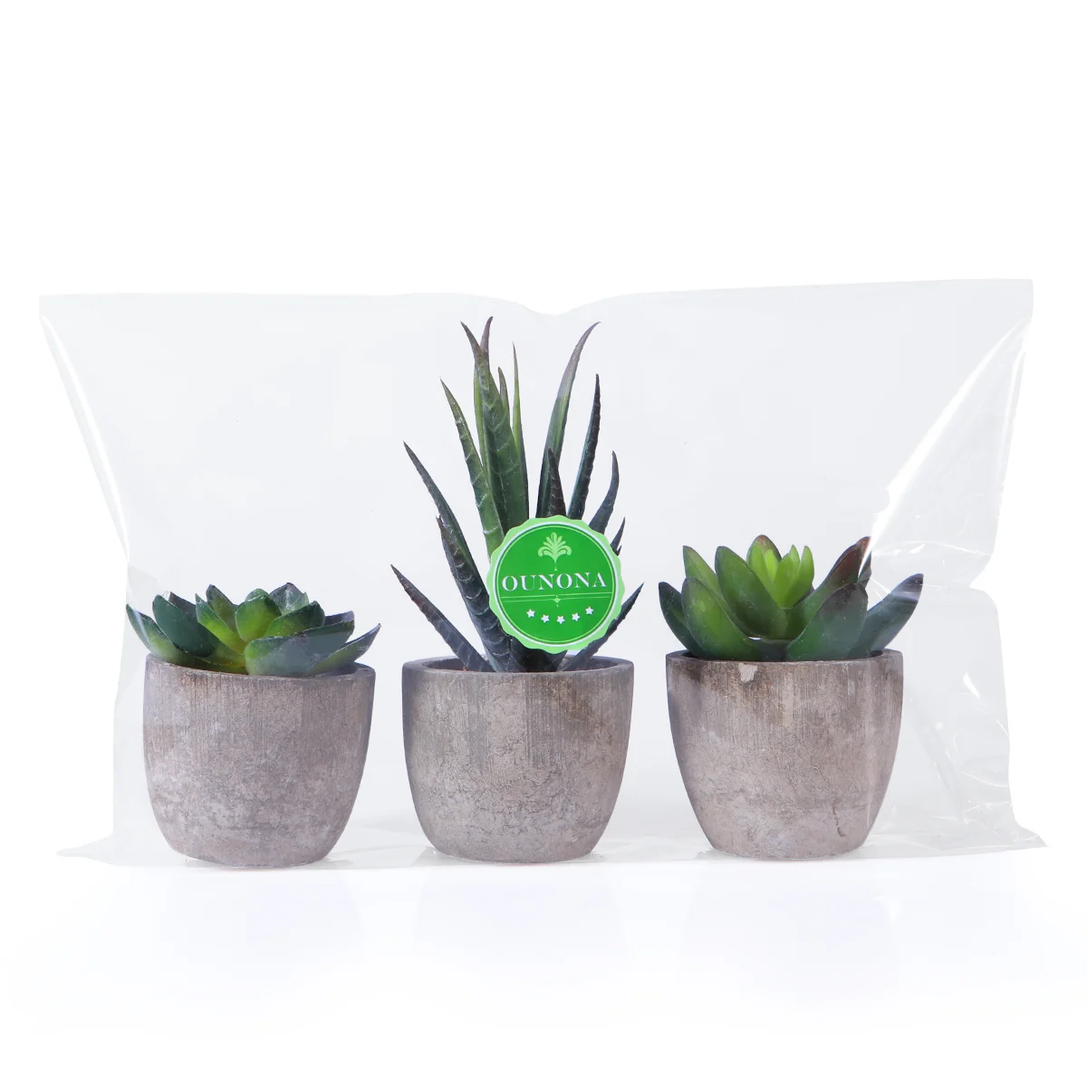 

Plants Plant Decorative Succulent Potted Plastic Artificial
