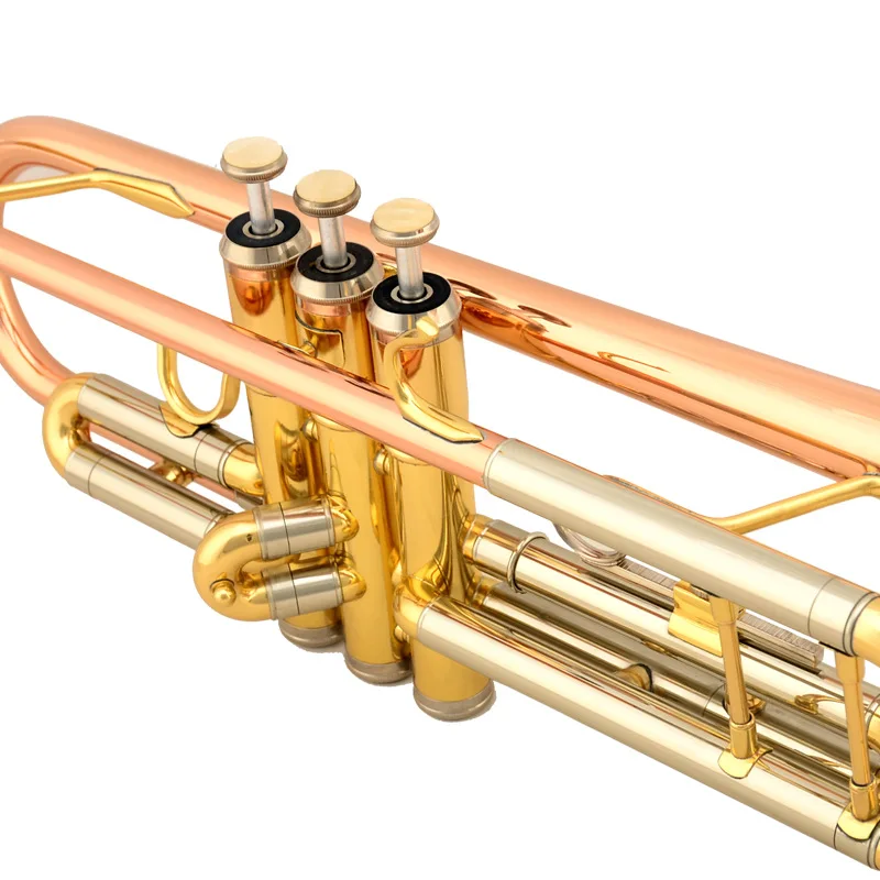 Major Phosphor Bronze Tube Body Prices Trumpet Band Musical Instruments Trumpet Instrument Brass