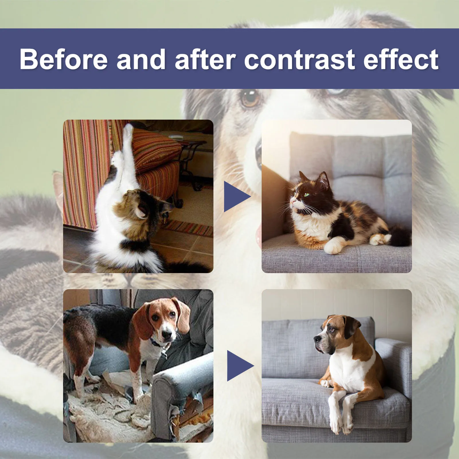 Yakitoko Katzenspray Abschreckung, Katzenabwehrspray für Möbel,  Anti-Kratzen Katzentrainingsspray, verwendet, um zu verhindern, dass Katzen  Pflanzen & Möbel zerkratzen, Indoor & Outdoor : : Haustier