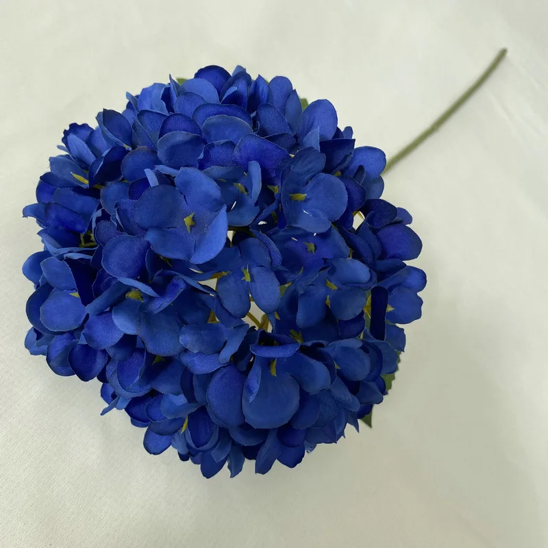 Deep Blue