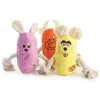 Squeaky Dog Toy Dogs Chew Toys for Small Large Dogs Breed Aggressive Chewers Puppy Teething Plush Toys Pet Products 6