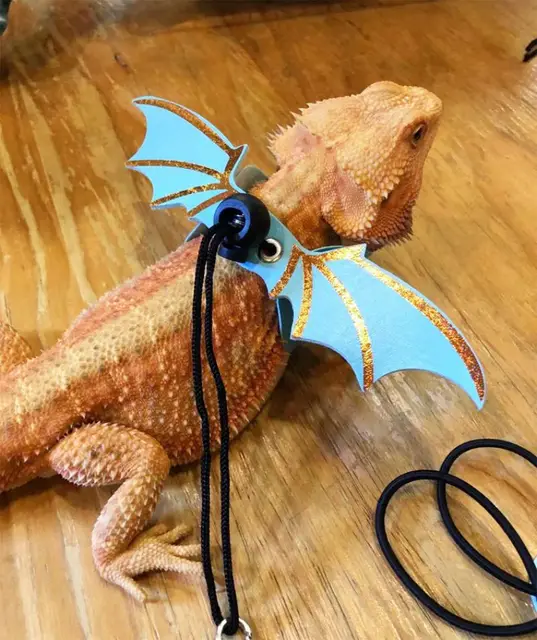 Leopard Gecko Leash And Harness Adjustable Reptile Leash Harness