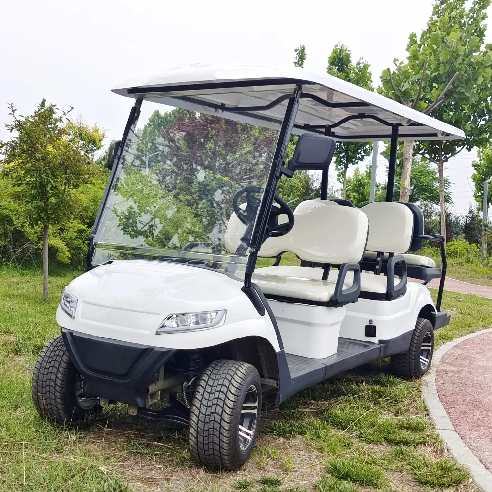 

Electric 2 4 Seats Golf Cart Sightseeing Bus 48V 3.5kw AC Motor with Off Road Tyres Golf Buggy Electric