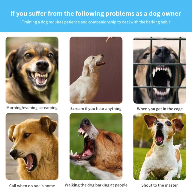 Rechargeable Anti-Bark Dog Collar 3