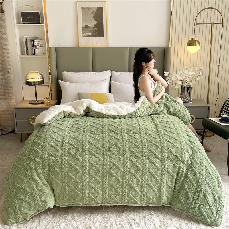 

Lamb Wool Winter Quilt Winter Quilt Household Quilt Core Plush Quilt Thickened To Keep Warm Student Dormitory Spring And Autumn