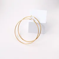 Gold Color Stainless Steel Hoop Earrings For Women Men Big/Small Circle Round Ear Jewelry Bijoux Acier Inoxidable E18110 4