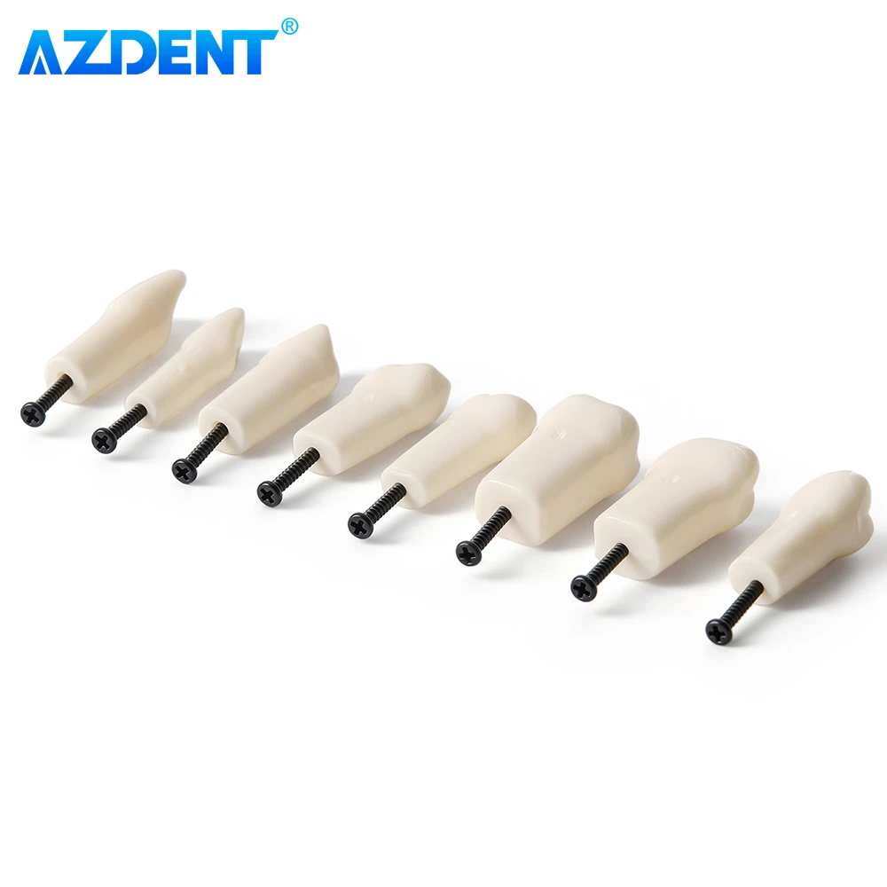 32개 AZDENT 치과용 레진 연습용 치아, 타이포돈트 아크릴 세트, 크라운 프렙, 스크류인 엔도 연구 모델 교체용 드라이버