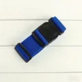 Deep BLUE
