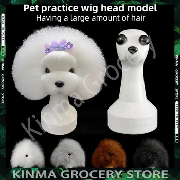 Modello di testa di cane finto Teddy Pet Testa simulata Capelli Estetista Pratica Taglio di peli di cane Parrucca personalizzata per il corpo del cane Studio per toelettatura di animali domestici