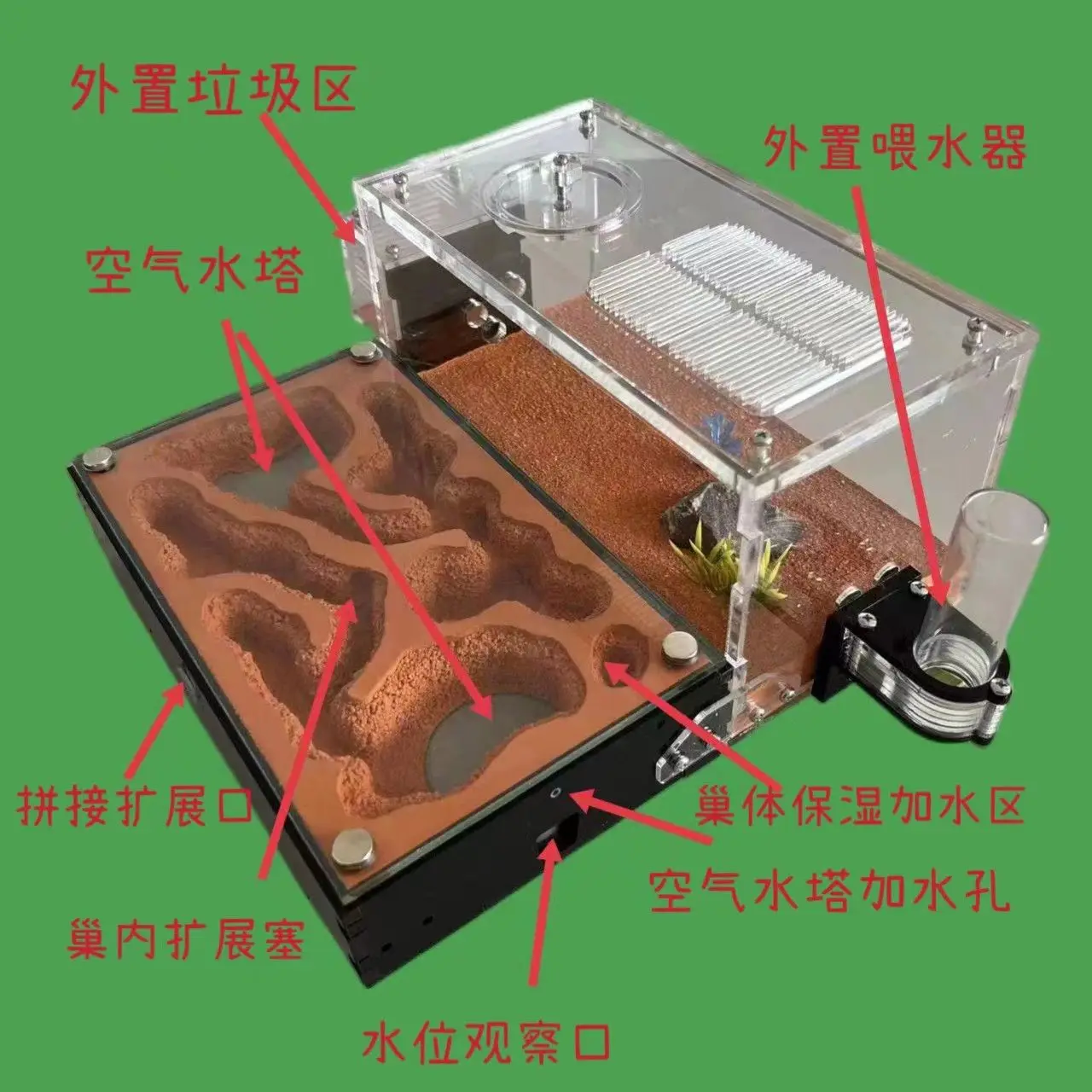 M-style Workshop Ecological Scalable Breeding Ecological Box Ant Flat Home Pet Ant Nest