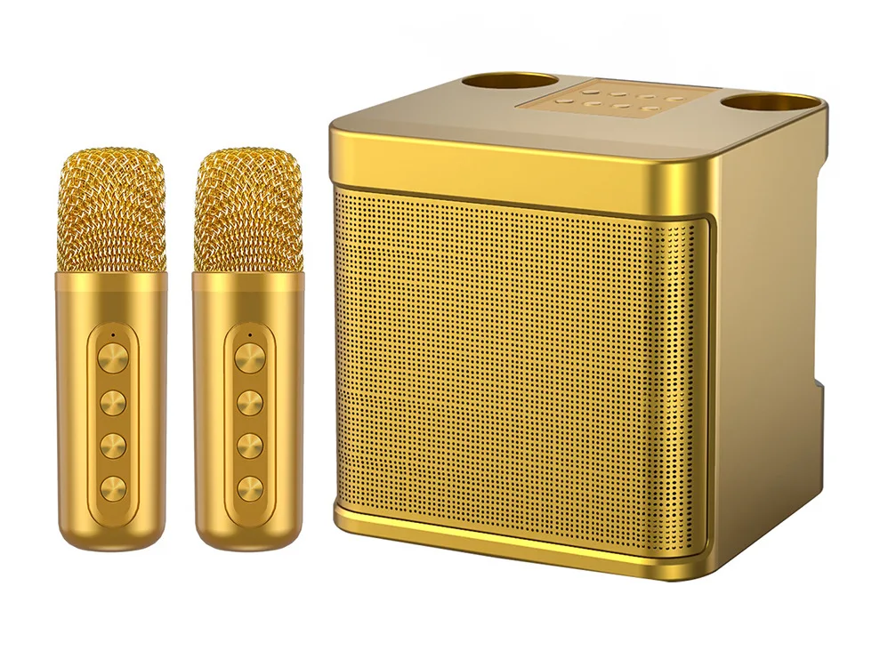 Karaoké professionnel portable haute puissance Double microphone compatible  Bluetooth Haut-parleur Outdoor Family Party Karaoke Box 100w