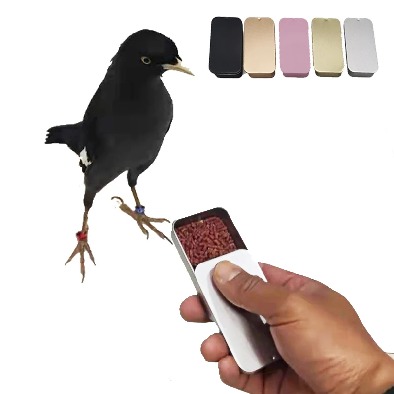 Tanio Przenośne szkolenie ptaki podajnik zewnętrzny ptak interakcja pole paszy