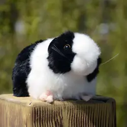 18cm Guinea Pig Plush Ornaments 3D Eyes Fluffy Hair Rat Plushies Ornament Lovely Simulation Stuffed Animal Guinea Cute Rodent