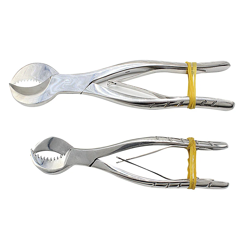 

1Pcs Dental Plaster Shears Scissiors Dentist Lab Tools Large Stainless Steel Forceps Instrument Gypsum Plaster Scissors Material