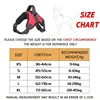 Dog Harness And Leash Set No Pull Adjustable Comfortable with Easy Control Handle Outdoor Running Walking Hand Free Lead Leash 4