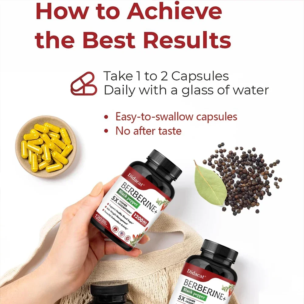Berberine Supplement 1200 Mg Per Serving Heart Health Weight Management Antioxidant