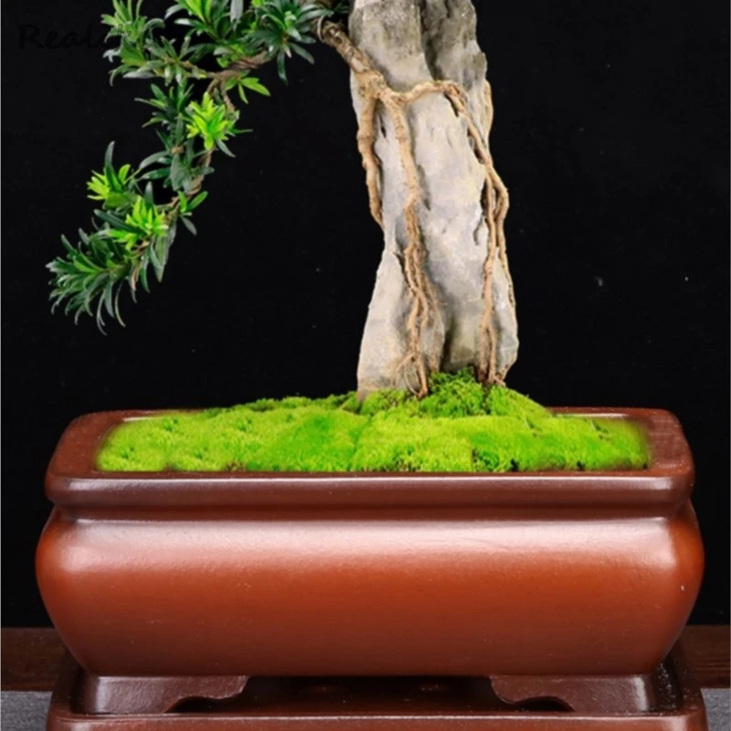 正方形鉢植え 多肉植物鉢 紫砂鉢 盆栽鉢 植木鉢 小品盆栽鉢 大品盆栽鉢 紫砂鉢 正方形鉢 中国宜興 盆栽鉢 植木鉢 小品盆栽鉢 大品盆栽鉢