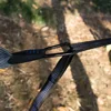2Pcs Hammock Straps Special Reinforced Polyester Straps 5 Ring High Load-Bearing Barbed Black Outdoor Camping Hammock Straps 5