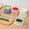 Kitchen Fruits Vegetables Storage Box Fridge Ginger Scallion Onion Fresh-keeping Container Food Drain Crisper Organizer 1