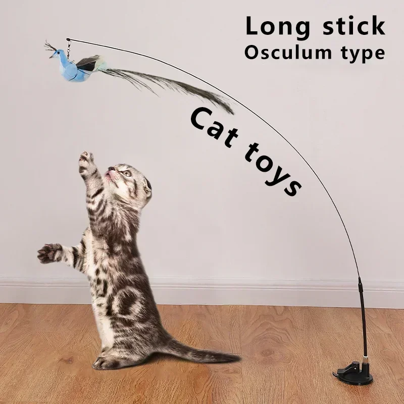 Bird Cat Toys 2