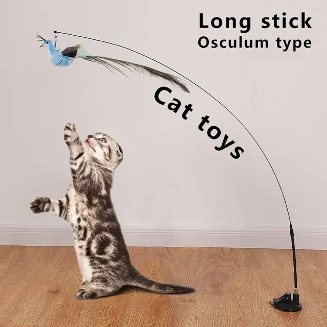Bird Cat Toys 2