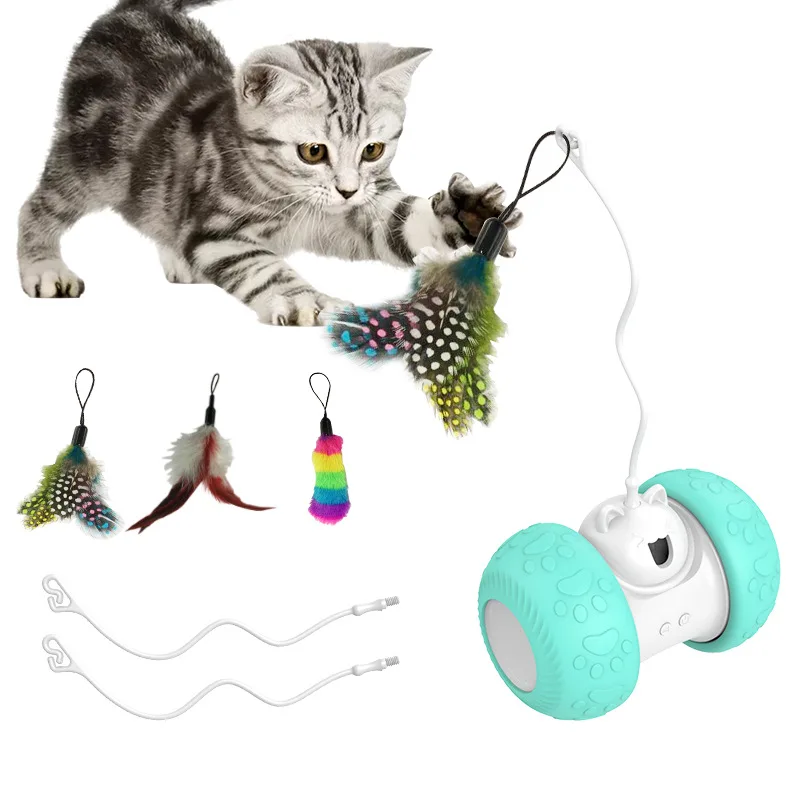 Cat Style