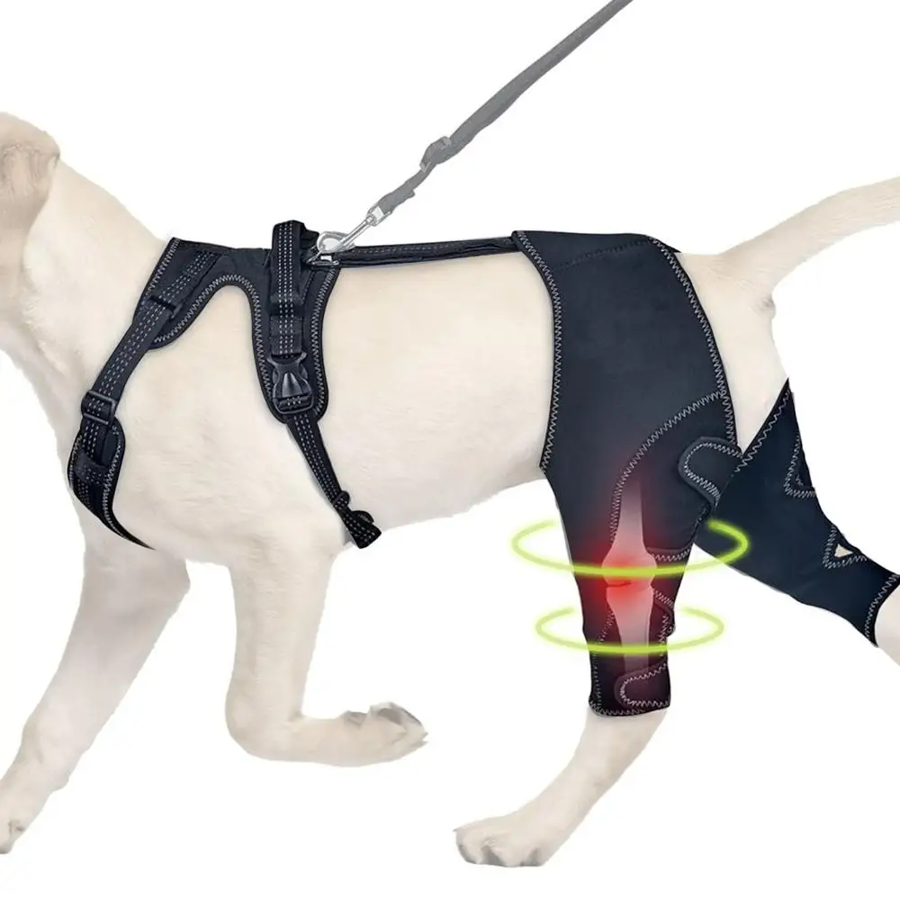Dog Back Brace Pet Orthopedic Hip Hock Support Brace Adjustable Leg Support For Keeping Animal Joints Warm And Stable