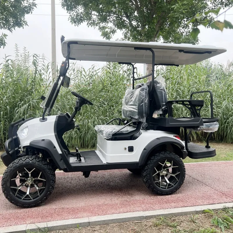 Custom 2 4 6 8 10 Posti Batterie Al Litio Sedile Pieghevole Carrelli Da Golf 48 Volt 4X4 Golf Factory Direct Buggy Da Golf Elettrico Cinese