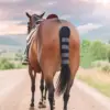 Horse Tail Protector Equine Protective Accessories Breathable Equine Tail Guard For Turnout Outing Stable Racing Competition 2