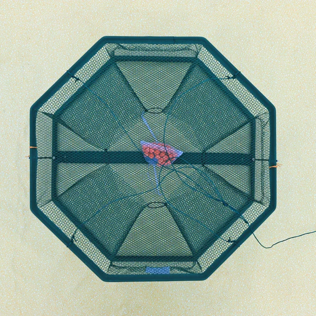 New Type of Fish Net Fish and Shrimp Cage Fishing Net River Shrimp and Eel Hand-thrown Net Cage 3