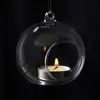 Transparent Hanging Glass Vases Ball Clear Hanging Tealight Holder 6/8/10/12/15cm Borosilicate Glass Glass Planter Moss 5