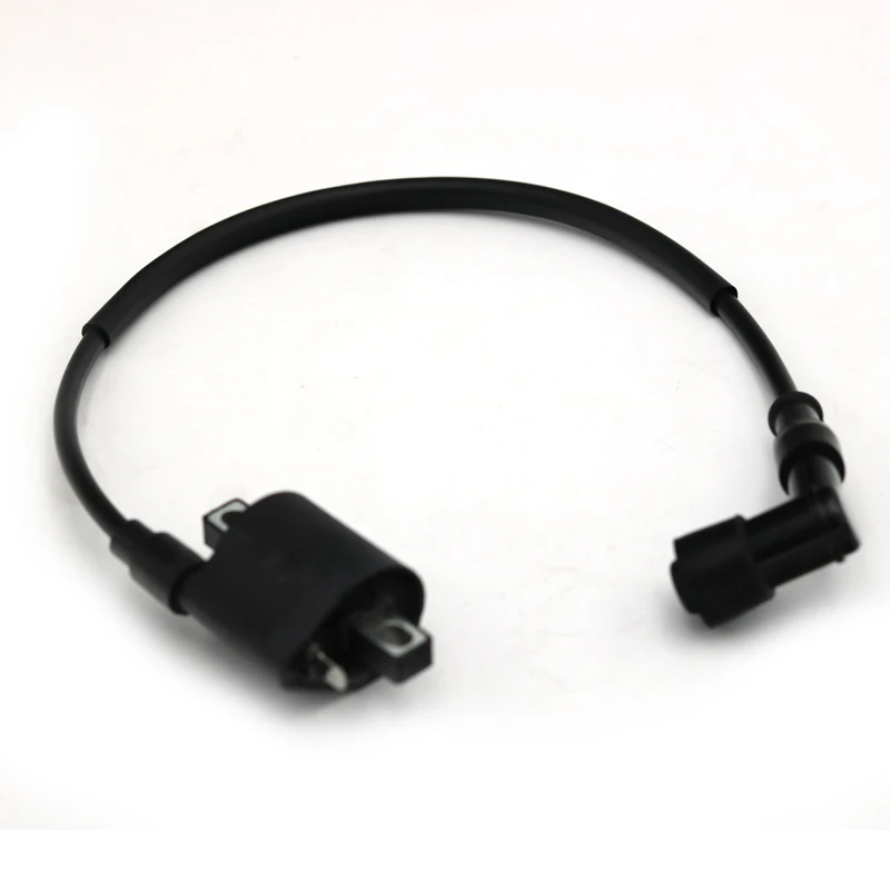 Motorcycle Ignition Coil High Pressure Coil 12V For 50 70 110 125 150 200 250cc D8TC CG ZJ ATVs Go Karts UTVs Scooters motorcycle ignition coil,moped ignition coil