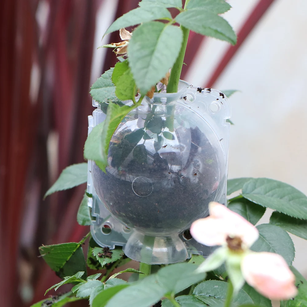Plant Rooting Ball Plant Propagation Pots 6pcs Strong Plastic Tree Root Grow Box Grafting Tool Rooting Ball Reusable High Pressure Air Layering Rooter Propagator