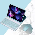 Blue and Mouse